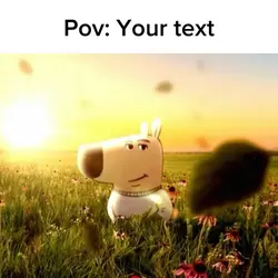 chill guy 