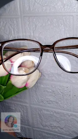 glasses 
