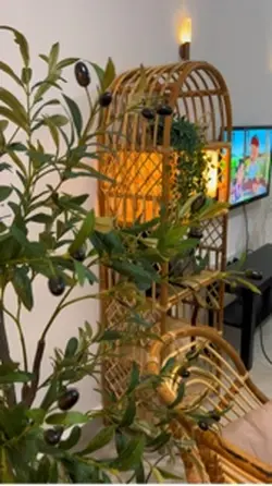 olive tree