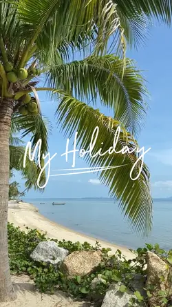 my holiday