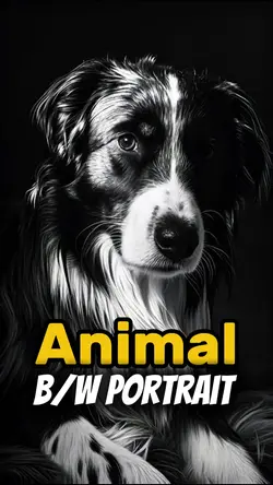 Animal B/W Portrait 