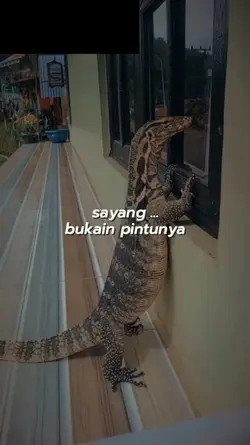 Buka pintunya Yank