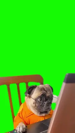 PERRITO EN LA COMPU
