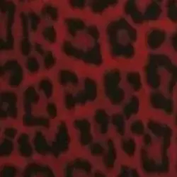 ⊹₊˚‧︵‿₊୨ᰔ୧₊‿︵‧˚₊⊹