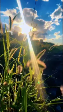 2 video estetik hd