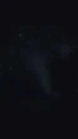 Trendig Df Edit