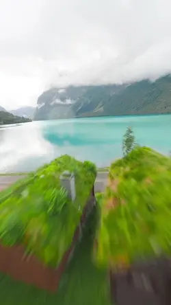 11 video or photo 