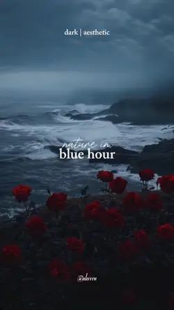 nature in blue hour