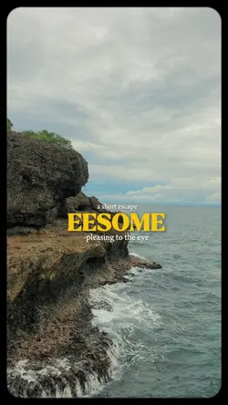 EESOME
