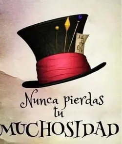 Muchisidad