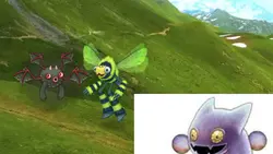 Flies in the sky