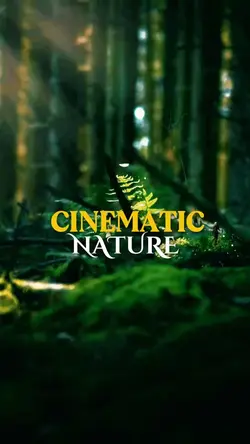 Nature Cinematic