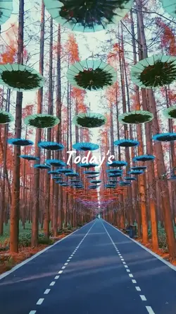 TODAY'S