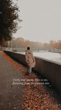 autumn bliss