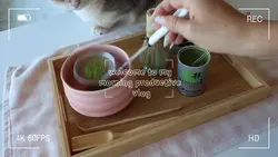 ditl vlog