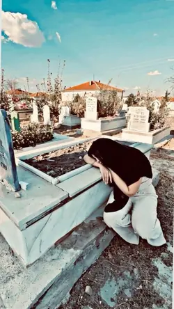 şablon