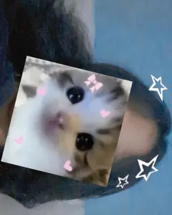 Pembuatnyaa