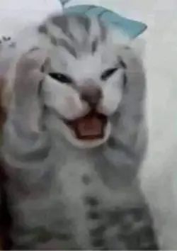 9 ảnh meme hài