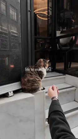 life in march