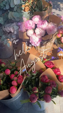 August highlights 