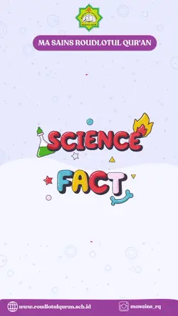Template Infografis