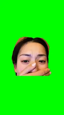 lady sobbing meme