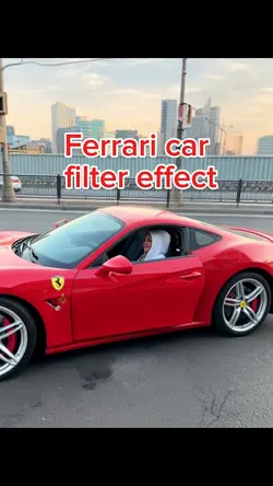 Ferrari car filter