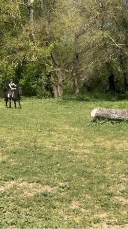 Equitation