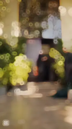 Mohra Slow motion