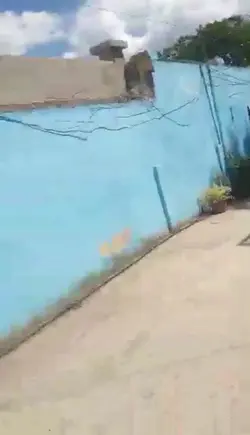 pop like their veloc
