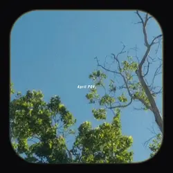 Aprill pov