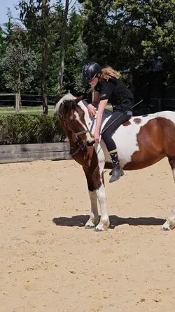 childhood horses 