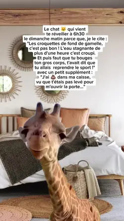 Bisous girafe