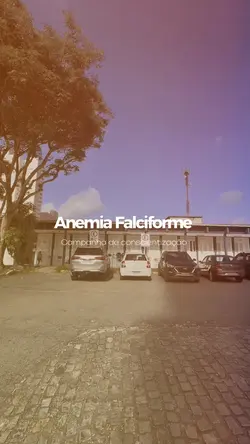 Campanha de saúde 🩸