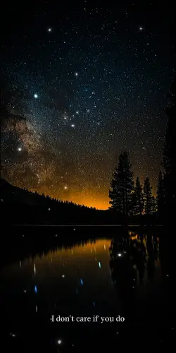 a sky full of stars