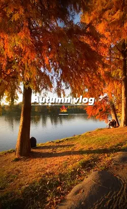 Autumn vlog🍁