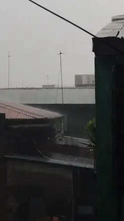 I find peace (Rain)