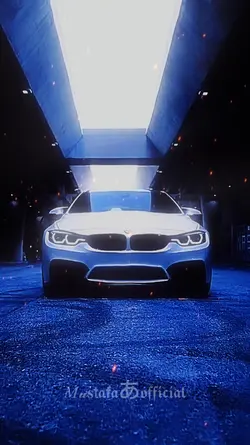 BMW White 