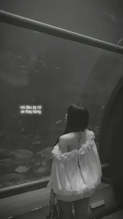 Lyrics + Màu