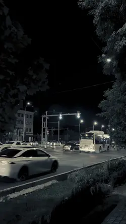 Zhanyma kelshi