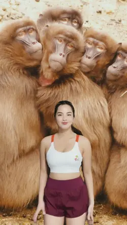 five little monkey