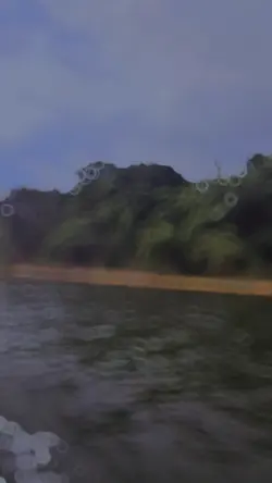 New slowmo part 3375