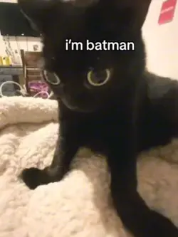 BATMAN 🦇