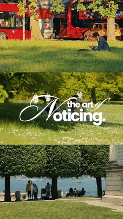 The art of noticing