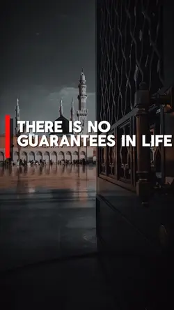 No Guarantee 