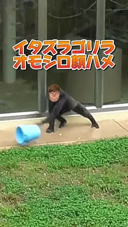 イタズラゴリラオモシロ顔ハメ