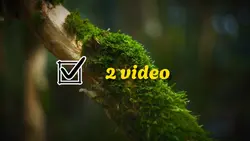 2 video cảnh & xe