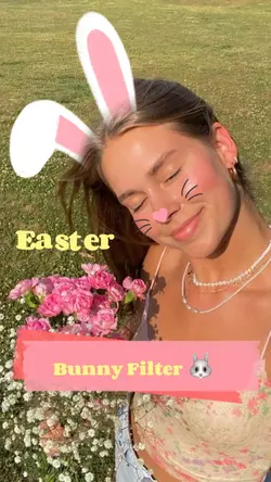 Bunny Filter
