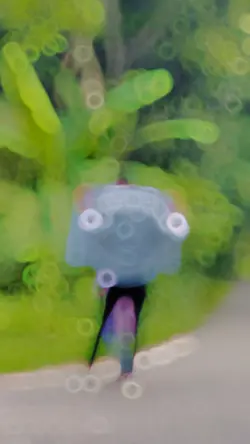 Viral SlowMo Video