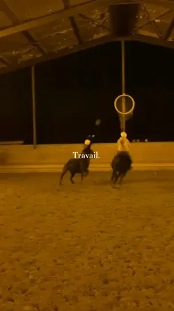 Le travail 